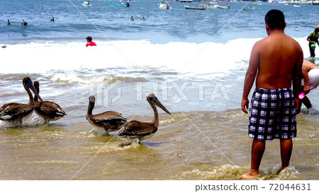 Acapulco coast, Mexico Acapulco coast, Mexico 72044631