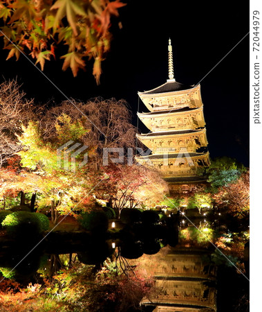 秋天的東寺(點亮) 秋天的東寺(點亮) 72044979