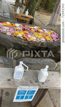 不尋常的花朵 不尋常的花朵 72045343