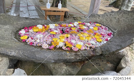浮花洗手區 浮花洗手區 72045344