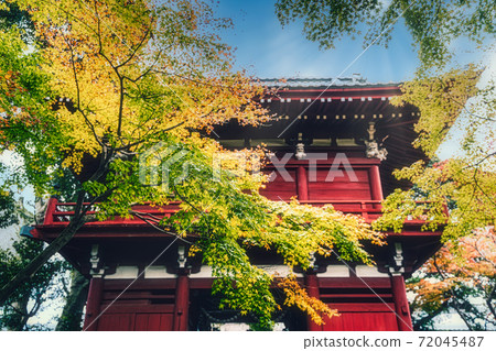A piece of late autumn that impresses the autumn leaves that illuminate the red gate of the temple 72045487