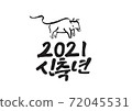 New Year 2021 Calligraphy 72045531