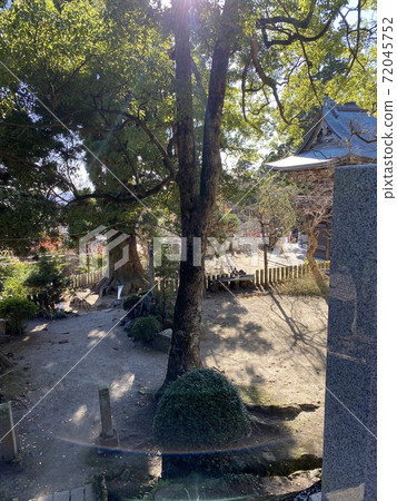筑波山秋葉 筑波山秋葉 72045752