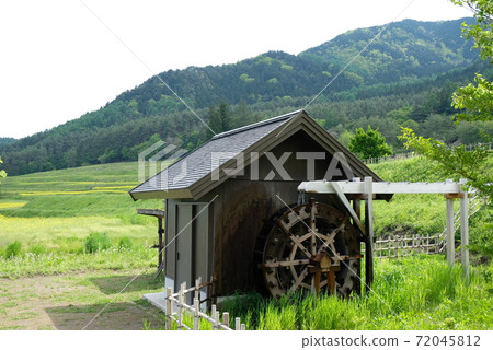 XT2國家阿爾卑斯山Azumi公園里山文化區菜籽花第56部分 XT2國家阿爾卑斯山Azumi公園里山文化區菜籽花第56部分 72045812