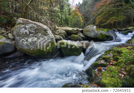 Flow of Namesawa Gorge in Izu Flow of Namesawa Gorge in Izu 72045931