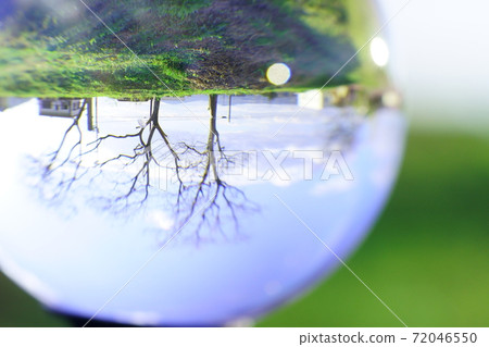 Upside down park seen with a lens ball 1 Upside down park seen with a lens ball 1 72046550