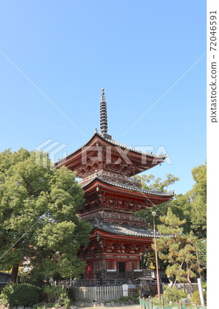 The three-storied pagoda of Jimokuji Kannon (Ama City, Aichi Prefecture) 72046591