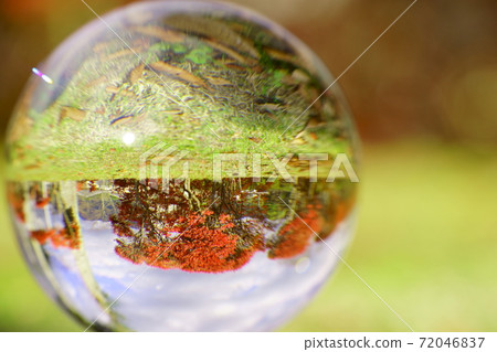 顛倒的秋葉用鏡頭球4看到 72046837