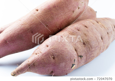 Sweet potato Sweet potato 72047070