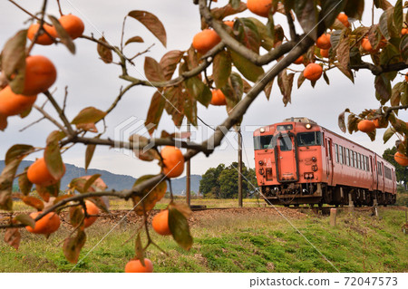 Persimmon and train 72047573