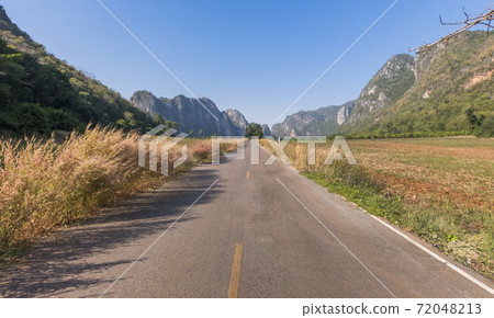 A rural road with grass flowers and mountains along the way to beautiful nature. A rural road with grass flowers and mountains along the way to beautiful nature. 72048213