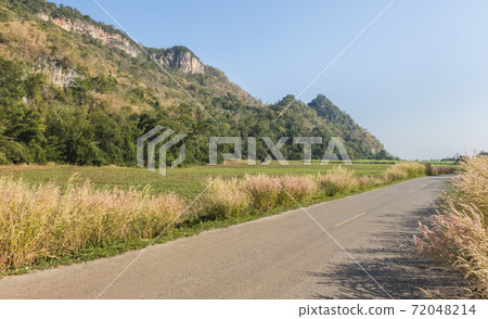 A rural road with grass flowers and mountains along the way to beautiful nature. A rural road with grass flowers and mountains along the way to beautiful nature. 72048214