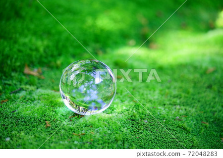 Cool feeling of moss garden 42 Cool feeling of moss garden 42 72048283