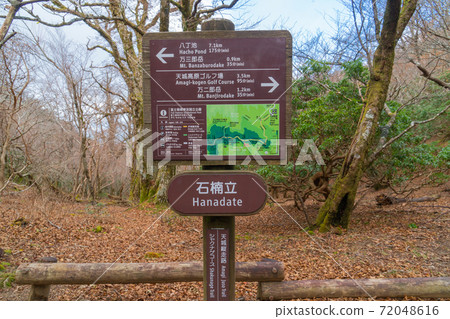 Ishikusu Tate（天城山） 72048616