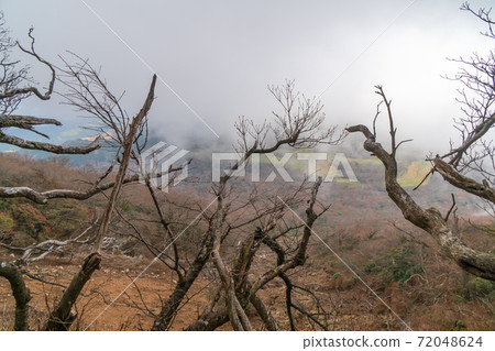 從馬背上看到的瓦斯覆蓋的風景（天城山） 72048624