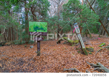 湯澤支店（天城山） 72048856