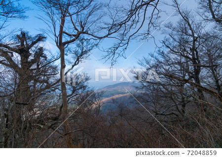 從萬三郎湖到湯澤支店（天城山）的山間風景 72048859