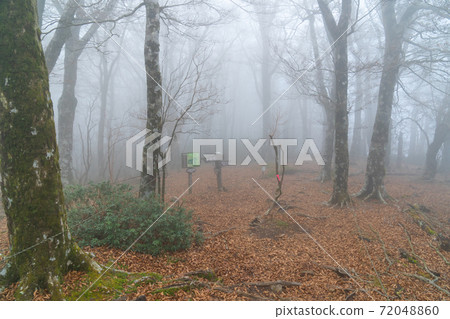 瓦斯覆蓋的山路（天城山） 72048860