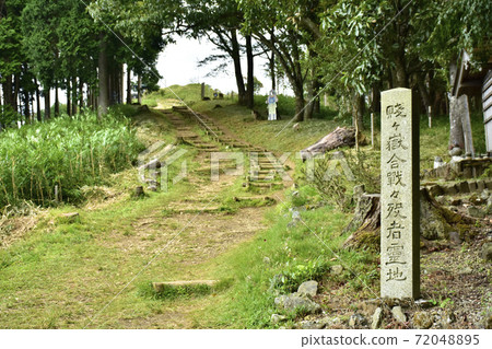 Nagahama City, Shiga Prefecture, Mt. Nagahama City, Shiga Prefecture, Mt. 72048895