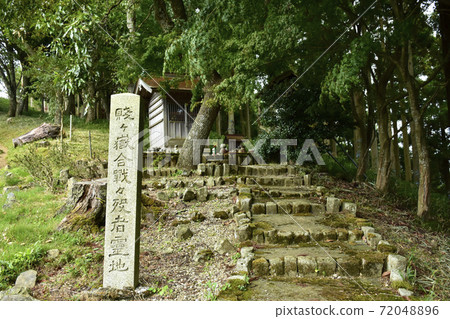 Nagahama City, Shiga Prefecture, Mt. 72048896