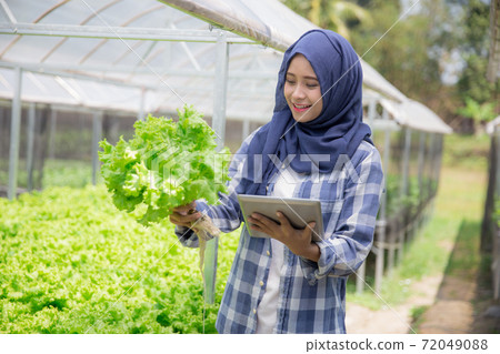 female farmer with tablet female farmer with tablet 72049088