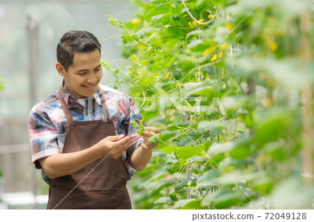 male farmer in the green house farm 72049128
