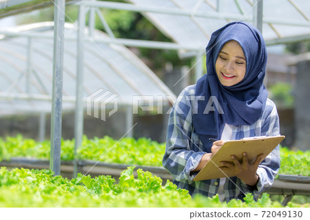 muslim woman working in hydrophonic muslim woman working in hydrophonic 72049130
