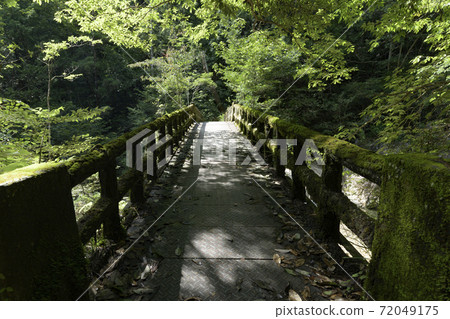 窄路橋 窄路橋 72049175