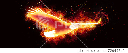 Abstract fire bird Abstract fire bird 72049241