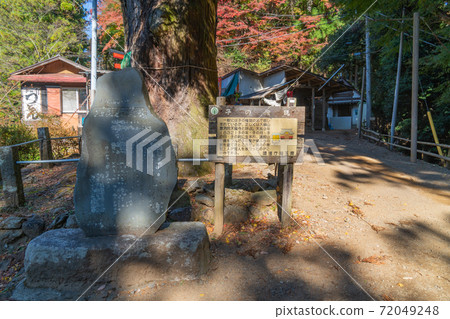 兒童的弓根（伊諾阿爾卑斯山） 72049248