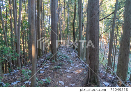 Mountain trail from Mt. Takasori (Mt. Dodaira) to Mt. Mutsuishi (Iino Alps) 72049258