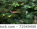 Pond of monet 72049486