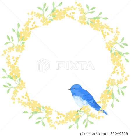 Blue bird and mimosa wreath illustration carrying happiness with a gentle touch Blue bird and mimosa wreath illustration carrying happiness with a gentle touch 72049509