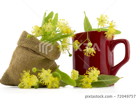 Hessian bag of freshly picked linden flowers 72049757