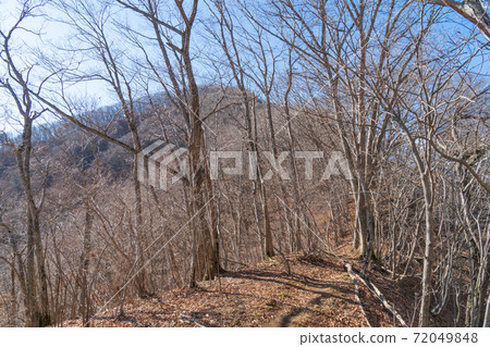 從山路上看到的倉見山的山頂 從山路上看到的倉見山的山頂 72049848