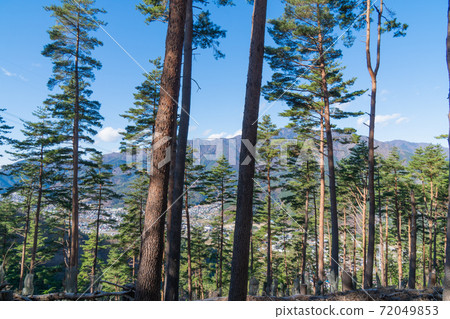 從倉見山山路上看到的風景 從倉見山山路上看到的風景 72049853