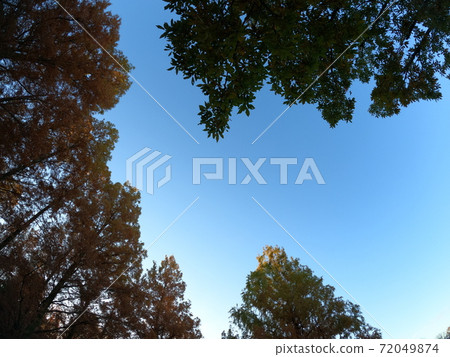 Autumn leaves sky Autumn leaves sky 72049874