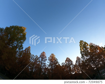 Autumn leaves sky Autumn leaves sky 72049875