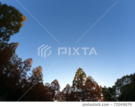 Autumn leaves sky Autumn leaves sky 72049876