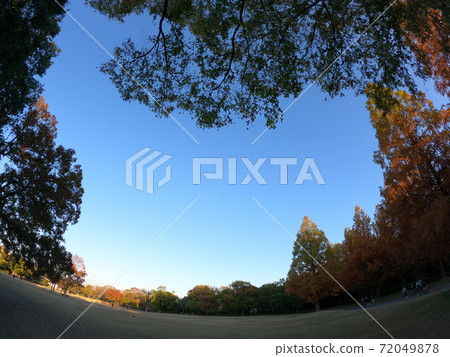 秋天秋葉天空 72049878