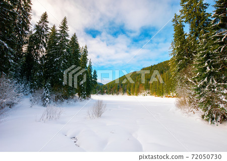 frozen mountain lake among spruce forest. beautiful winter landscape on a sunny day frozen mountain lake among spruce forest. beautiful winter landscape on a sunny day 72050730