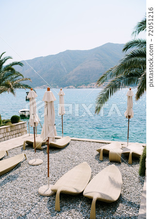 Plastic beach loungers on a pebble beach. Kotor Bay in Montenegro, the city of Dobrota. Under the branches of date palms. Plastic beach loungers on a pebble beach. Kotor Bay in Montenegro, the city of Dobrota. Under the branches of date palms. 72051216