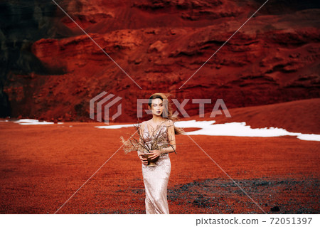 Portrait of a bride model in a golden wedding evening dress, in a yellow-red sandy quarry, in the crater of a volcano in Iceland, Golden Circle. Bouquet of snags and golden branches in a vase. Portrait of a bride model in a golden wedding evening dress, in a yellow-red sandy quarry, in the crater of a volcano in Iceland, Golden Circle. Bouquet of snags and golden branches in a vase. 72051397