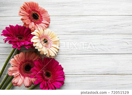 Bright gerbera flowers on a white wooden background. 72051529
