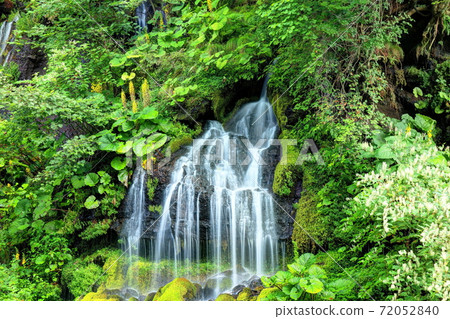 Otakarakou's blooming dragon waterfall 72052840