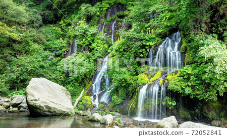 Otakarakou's blooming dragon waterfall 72052841