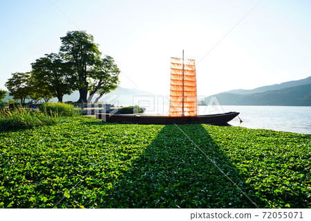 Morning of the Balinese Morning of the Balinese 72055071