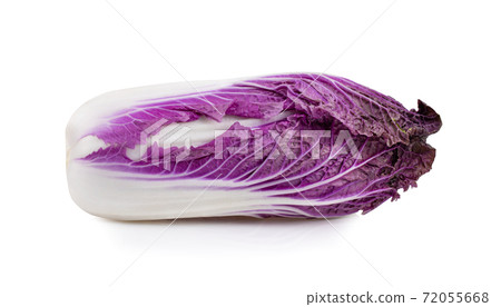 purple chinese cabbage on white background 72055668