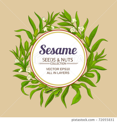 sesame vector frame 72055831