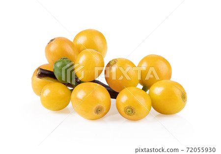 fresh yellow coffee beans isolated on white background fresh yellow coffee beans isolated on white background 72055930